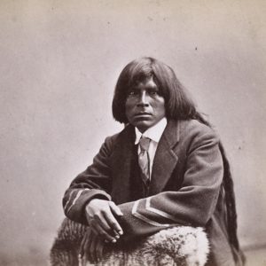 Pima indiani
